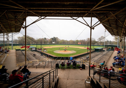 Which Baseball Club Has the Most Dedicated and Passionate Fans in San Ramon, CA?